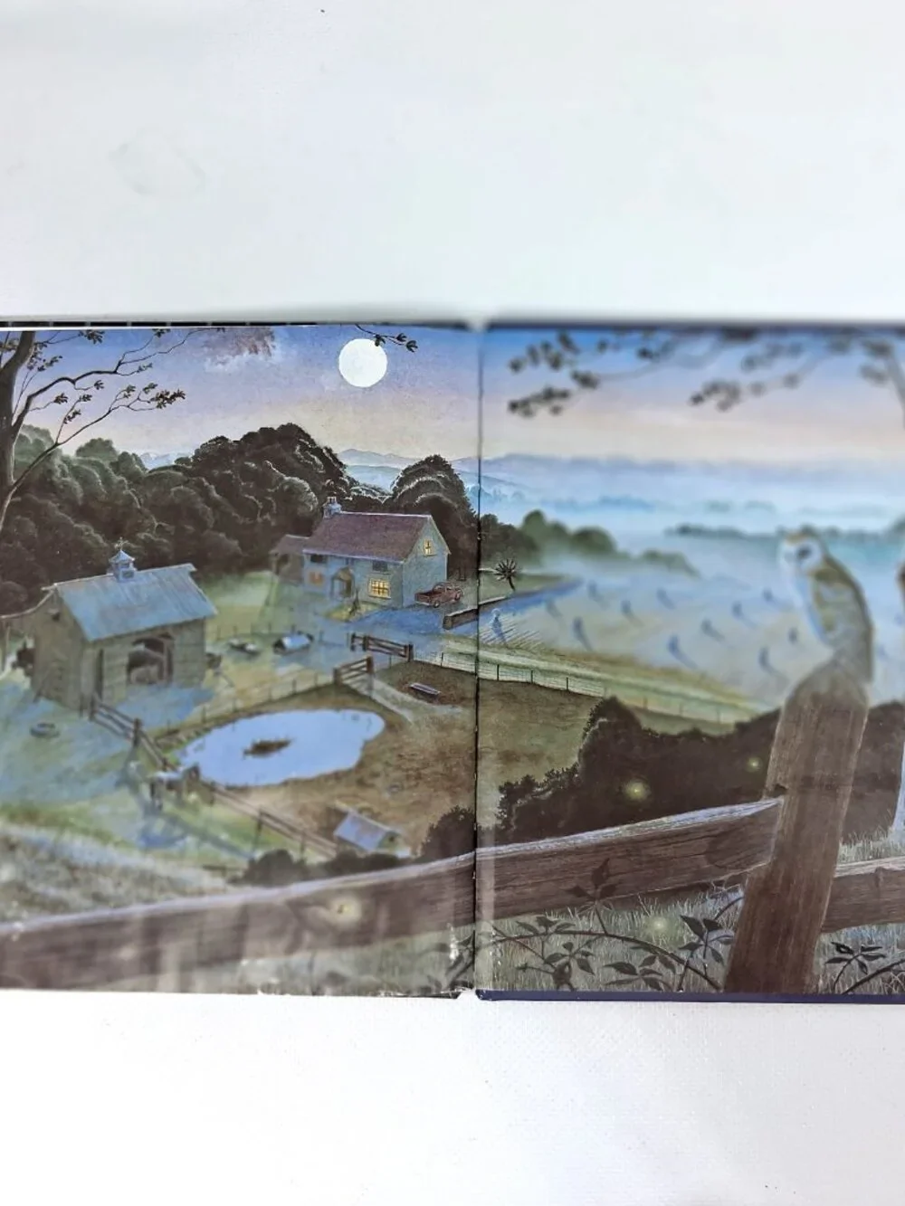 Going To Sleep On The Farm by Wendy Cheyette Lewison, Children's Book